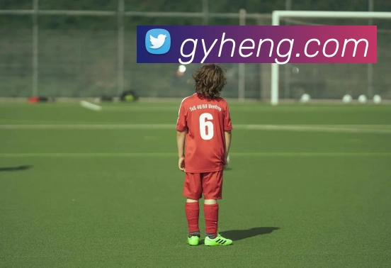 开云APP 高清赛事图